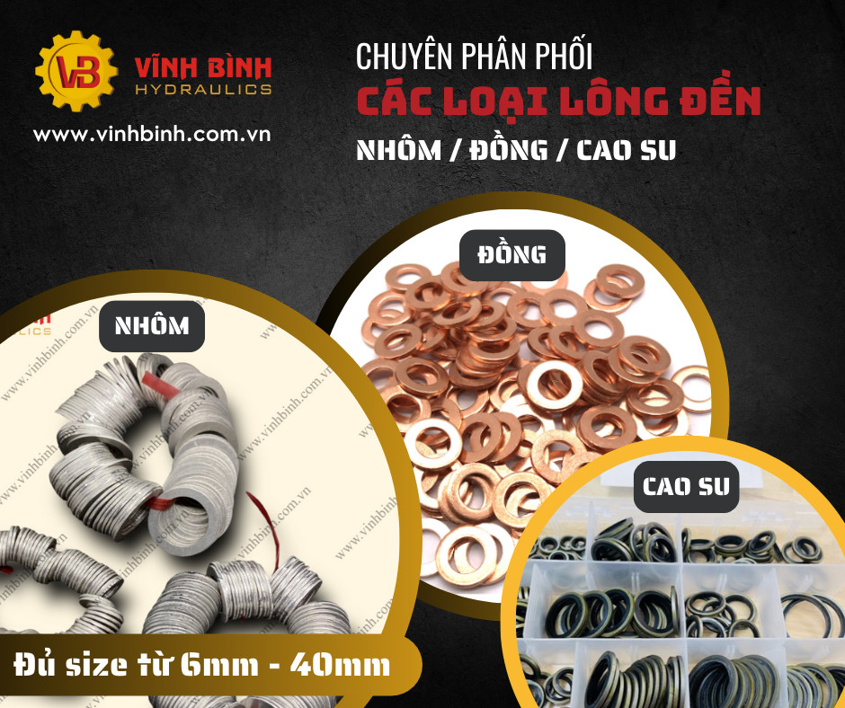 Các Loại Long Đền - Vòng Đệm